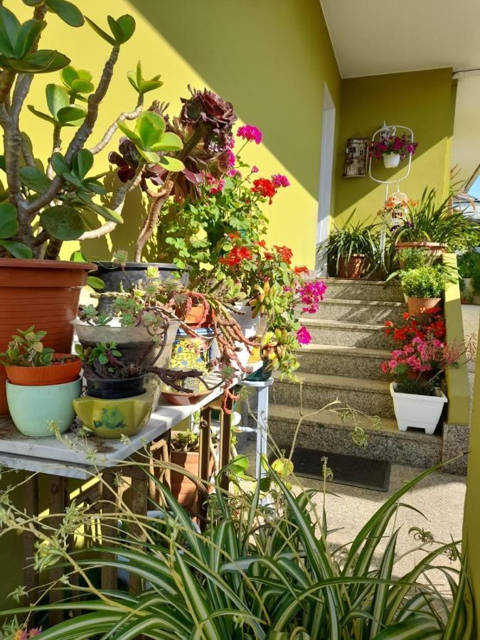 Corazón Do Val Da Louriña-área Vigo Apartamento Pontevedra